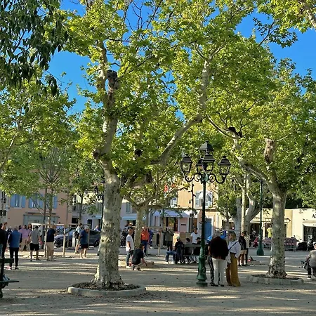 Bonaventure * Saint-Tropez